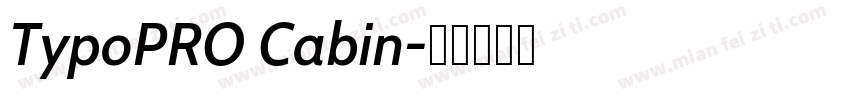 TypoPRO Cabin字体转换